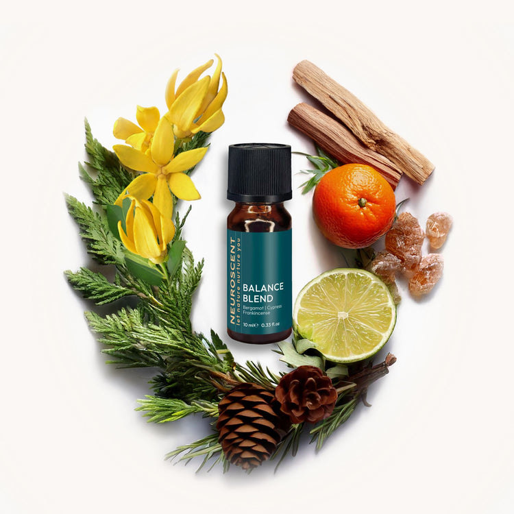 Balance Essential Oil Blend 10ml - NeuroScent