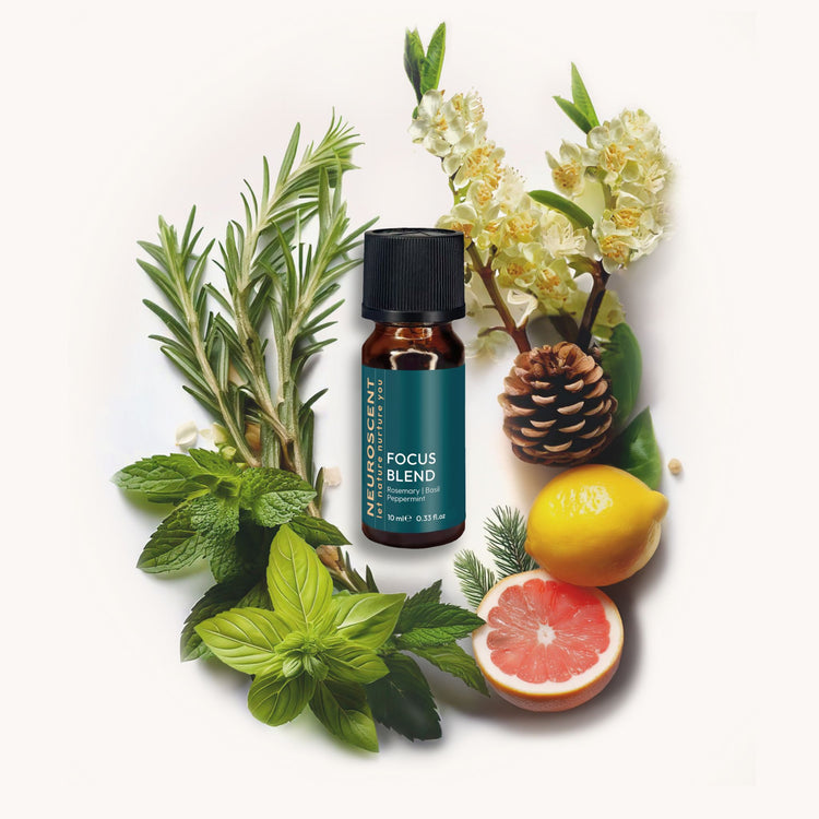 Focus Essential Oil Blend 10ml - NeuroScent