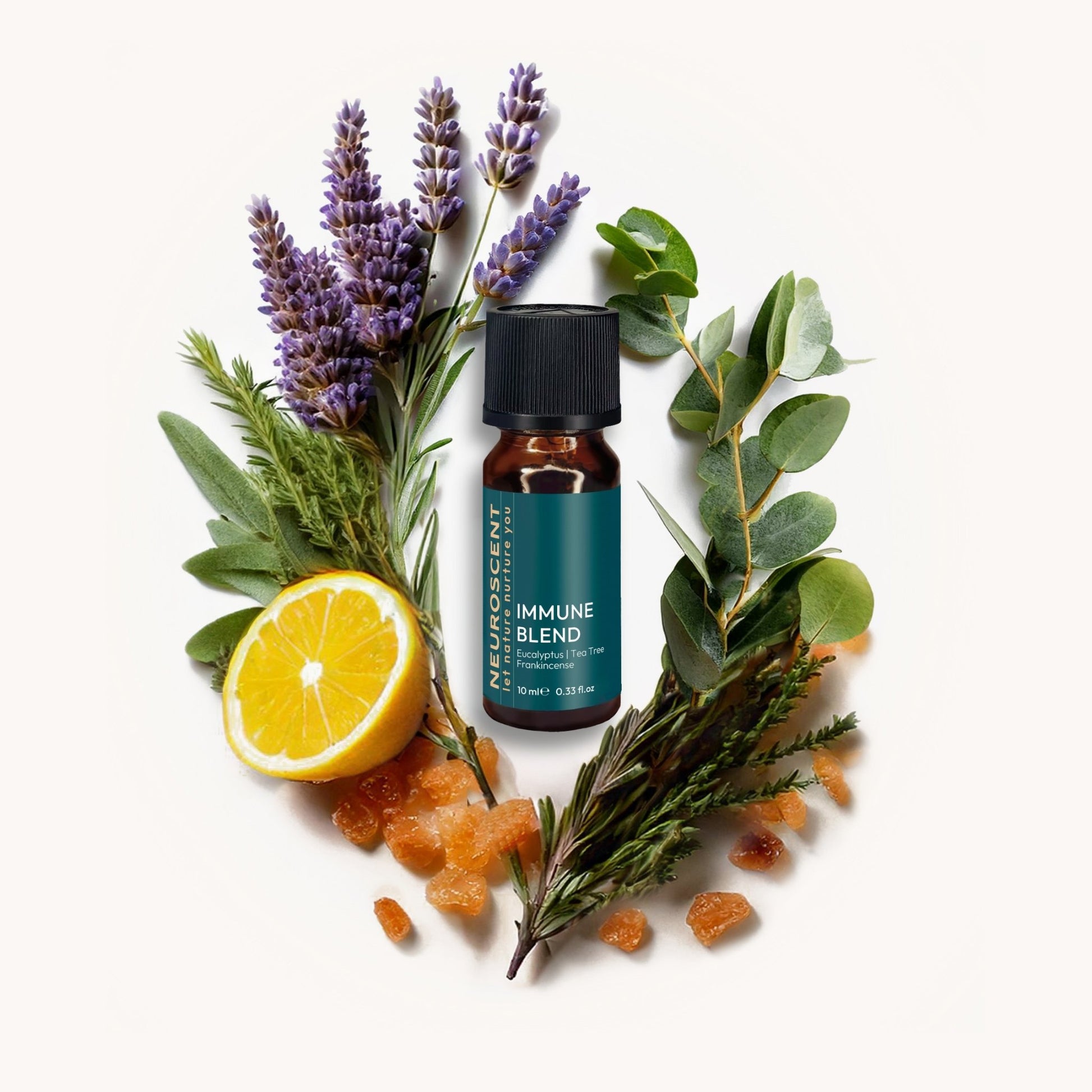 Immune Essential Oil Blend 10ml - NeuroScent