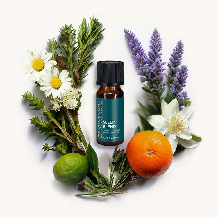 Sleep Essential Oil Blend 10ml - NeuroScent