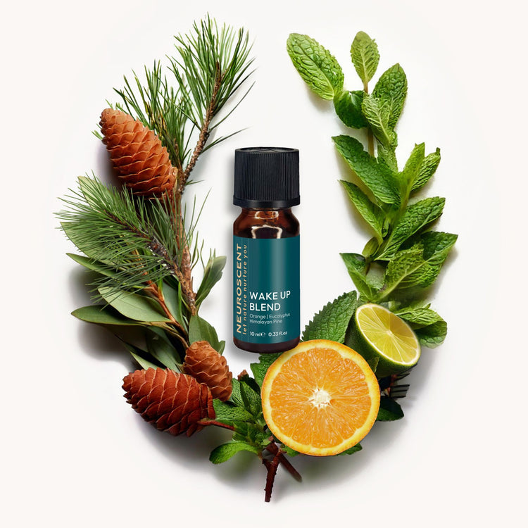 Wake Up Essential Oil Blend 10ml - NeuroScent