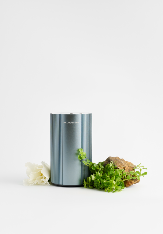 MicroMoments LUX Diffuser