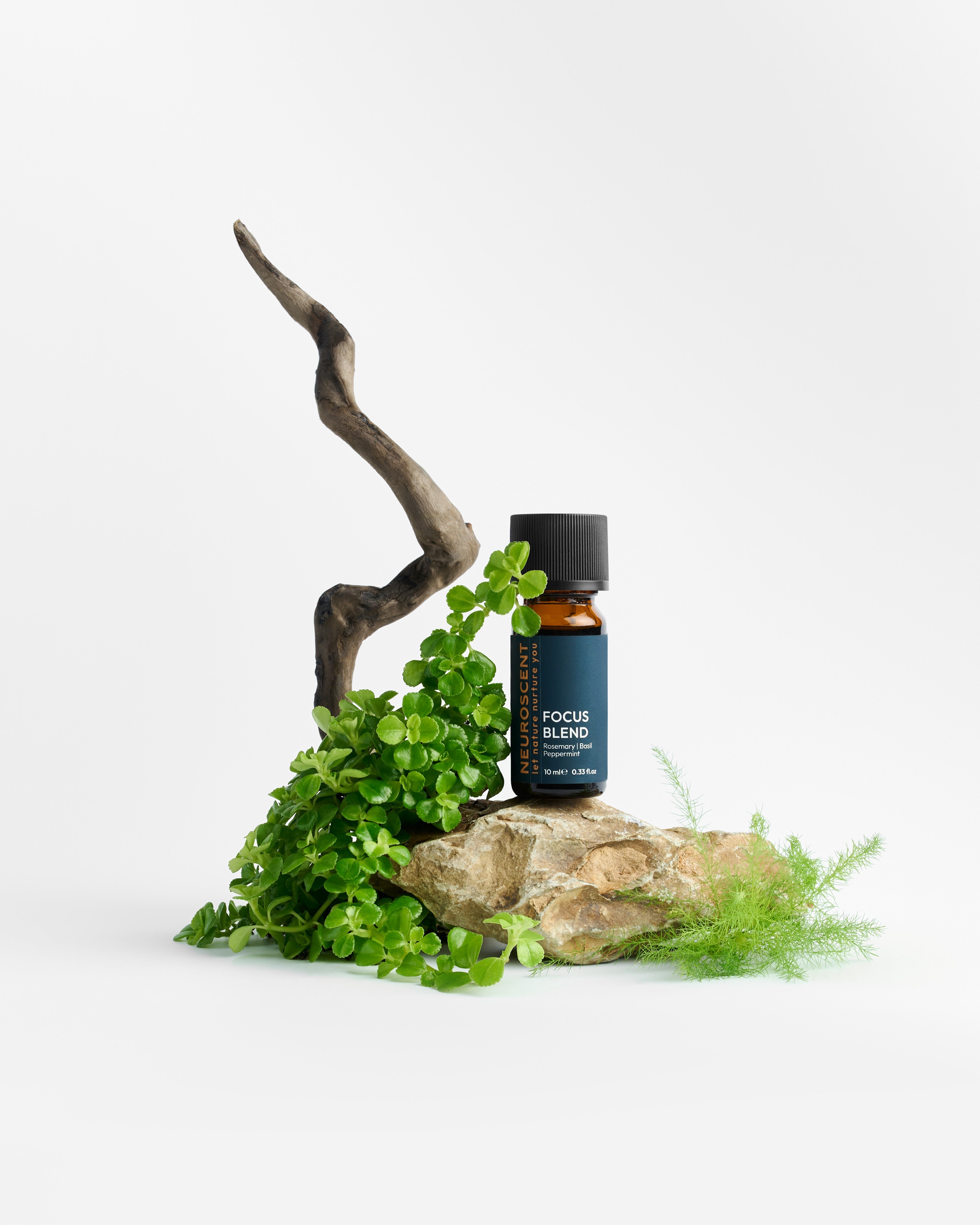 Focus Essential Oil Blend 10ml