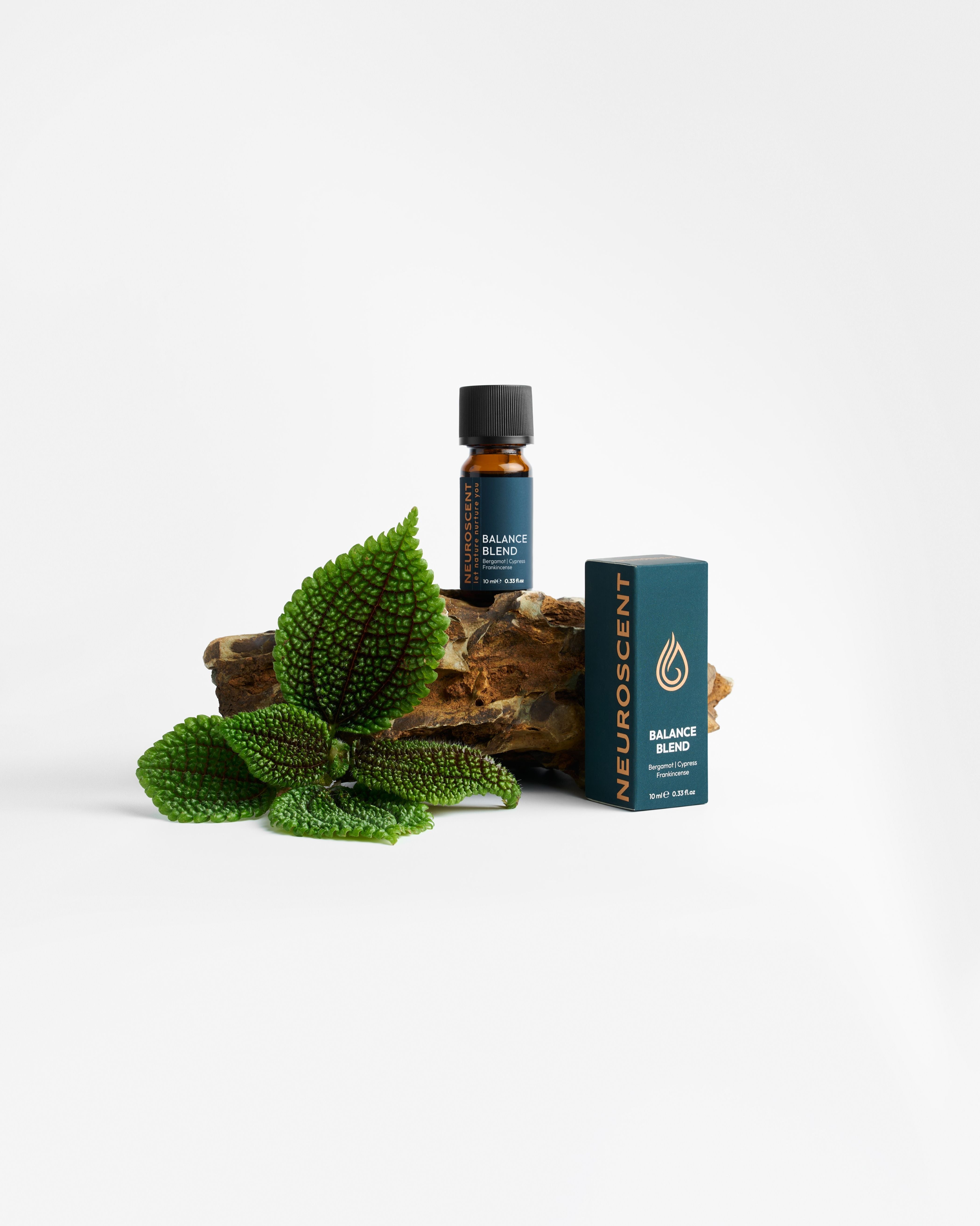 Balance Essential Oil Blend 10ml